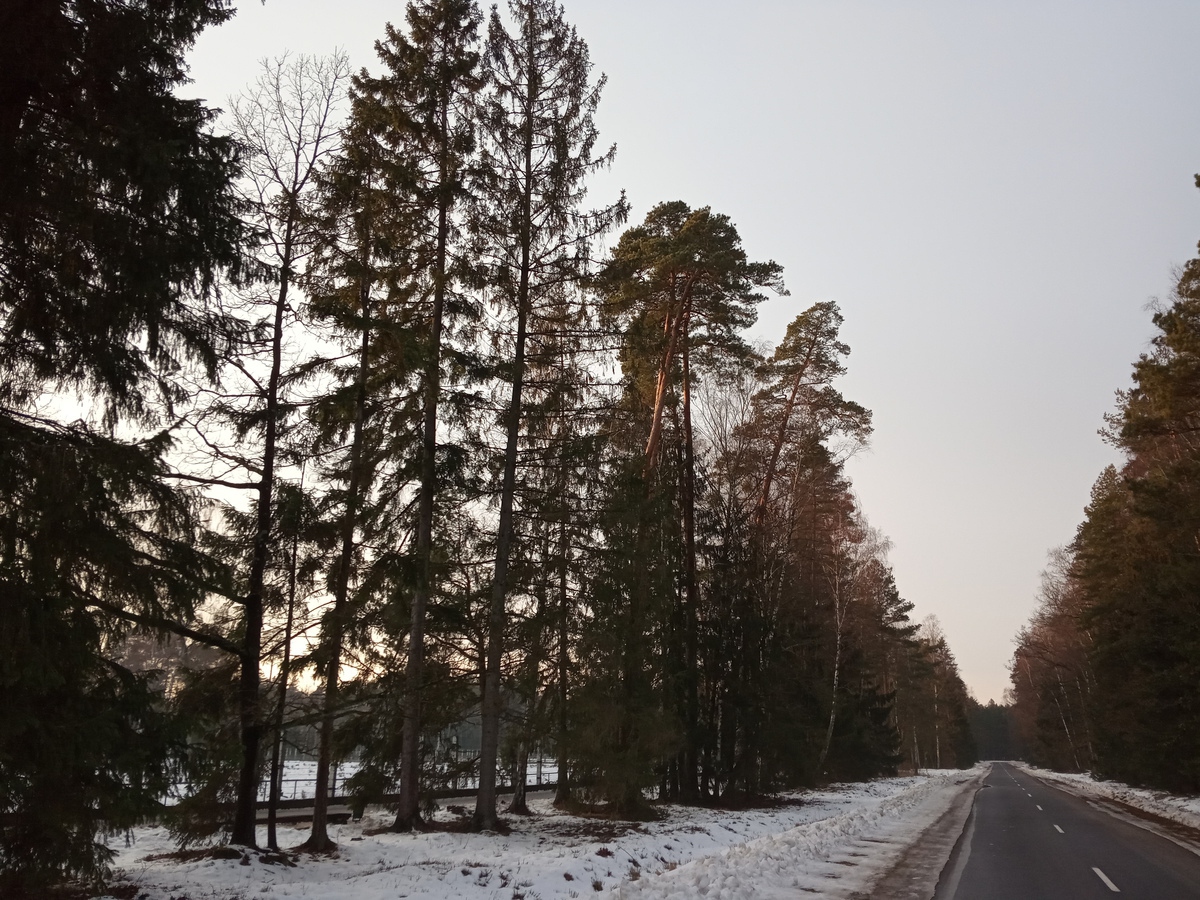 Старый и новый Брест: как Кадыров невольно помог городу
