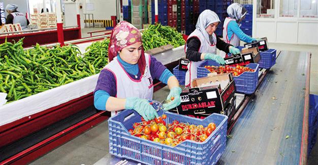 В рамках санкций Россия установила запрет на экспорт плодоовощной продукции из Турции, что оказывает дополнительное негативное влияние на и без того тяжелое положение сельскохозяйственного сектора турецкой экономики