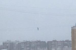 В_российском_Курске_молодой_наркоман-экстремал_сорвался_с_огромной_высоты
