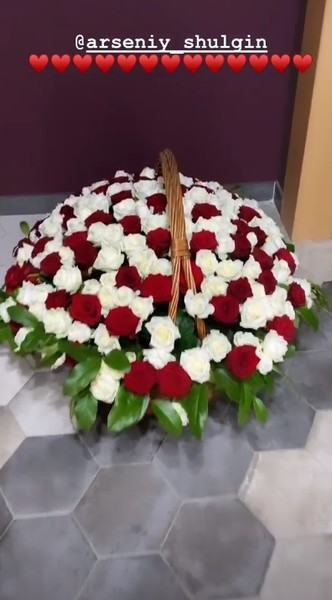 Звездный наследник балует возлюбленную Звездный наследник балует возлюбленную