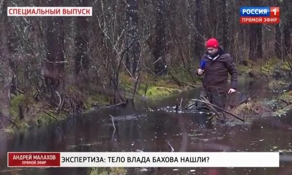 Тело влада бахова нашли фото