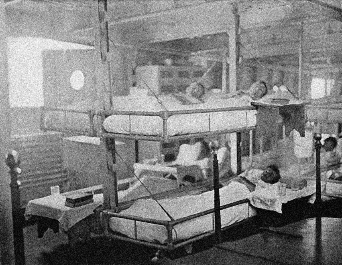 От сифилиса до COVID-19: болезни, изменившие мир