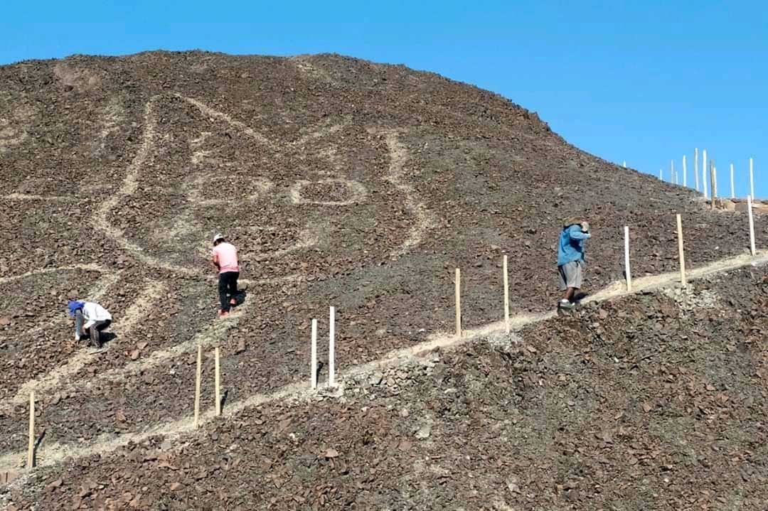 Гигантского кота нашли в пустыне Наска в Перу