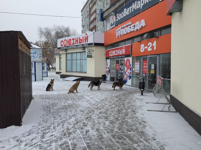 2020, уходи: 10+ шуток про пандемию, которые вас гарантированно развеселят