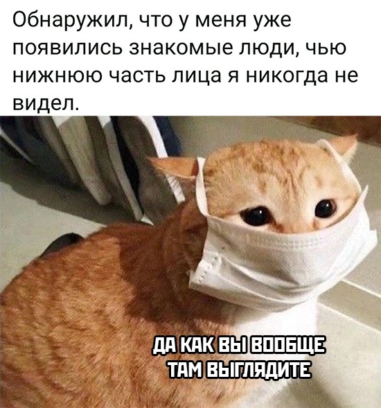2020, уходи: 10+ шуток про пандемию, которые вас гарантированно развеселят
