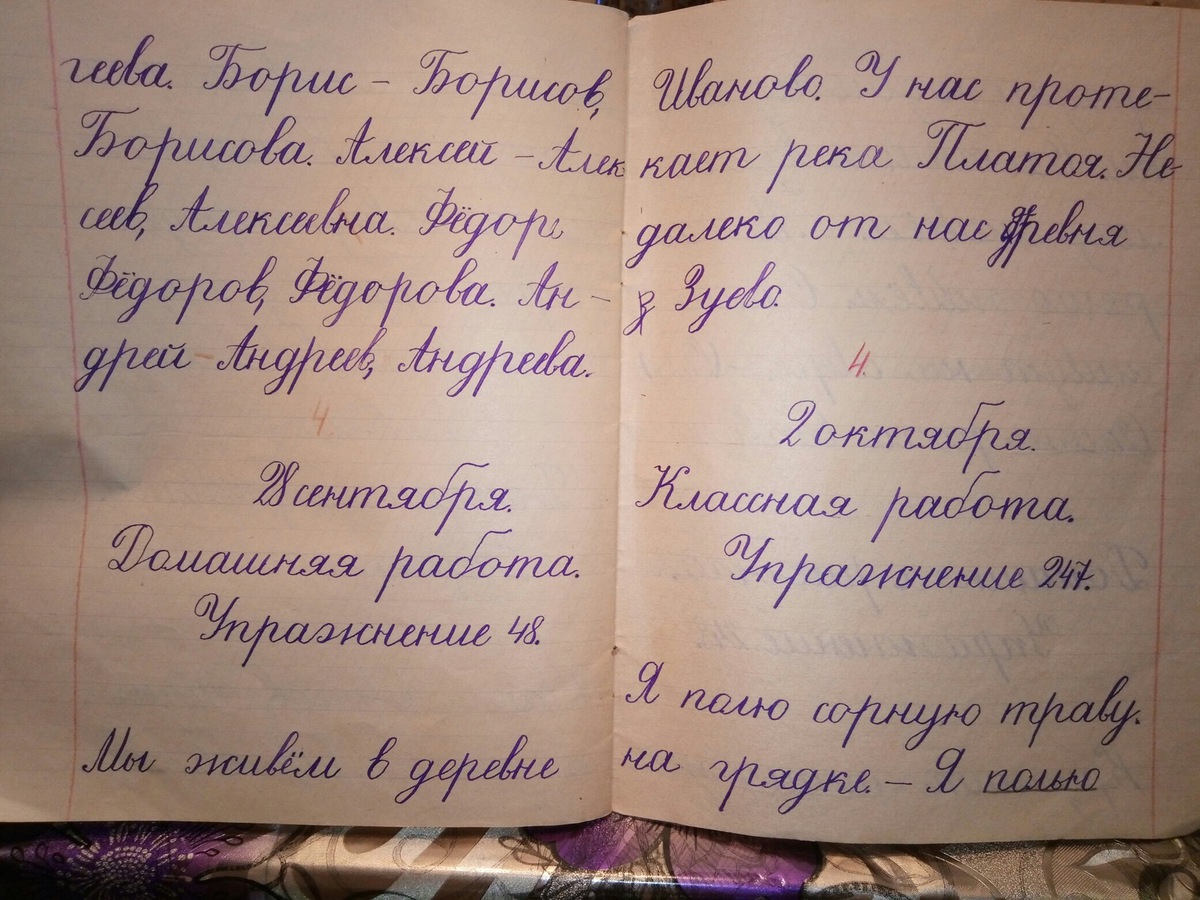 10+ людей, чей почерк настолько идеален, что кажется ненастоящим
