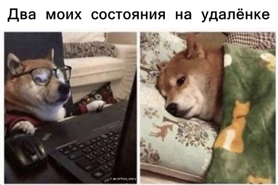 2020, уходи: 10+ шуток про пандемию, которые вас гарантированно развеселят