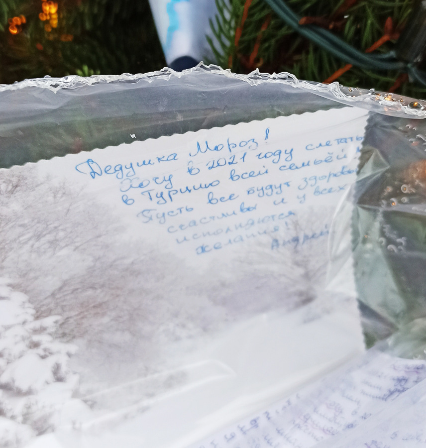 Что просили на Новый год у Деда Мороза взрослые