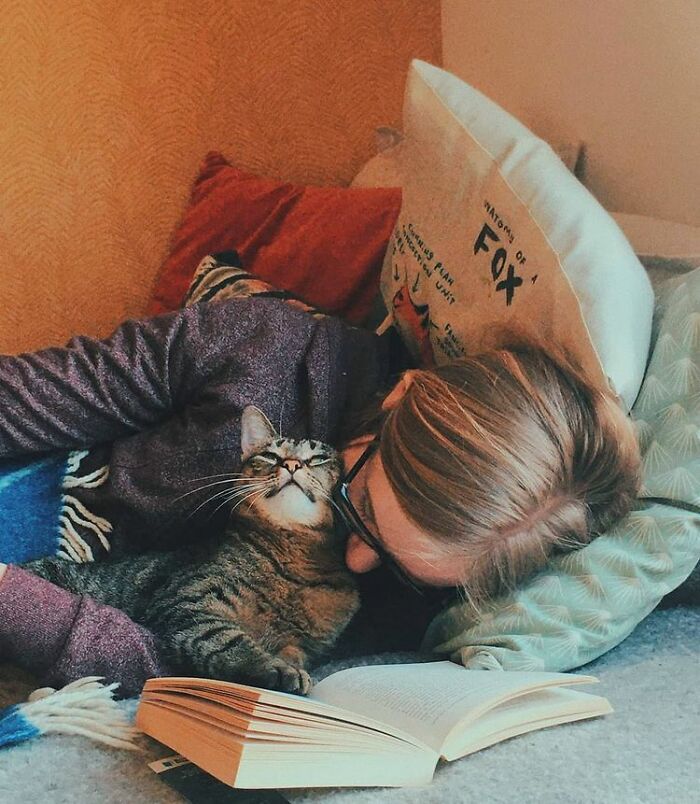 10+ умилительных фото котов, которые поднимут настроение любому
