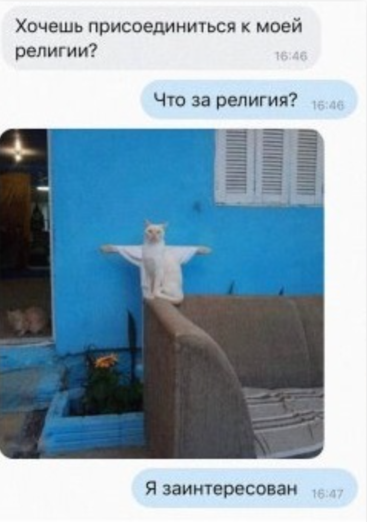 10+ смешных переписок с людьми, которые обладают отличным чувством юмора