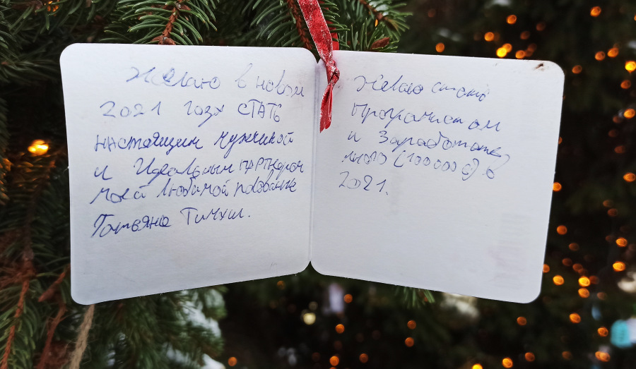 Что просили на Новый год у Деда Мороза взрослые