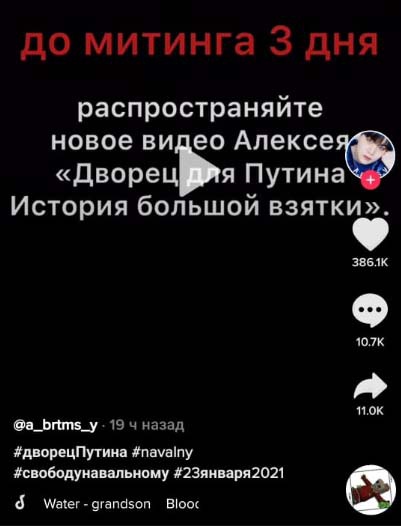 «Навальный, 23 января и TikTok»: как политики крадут детей