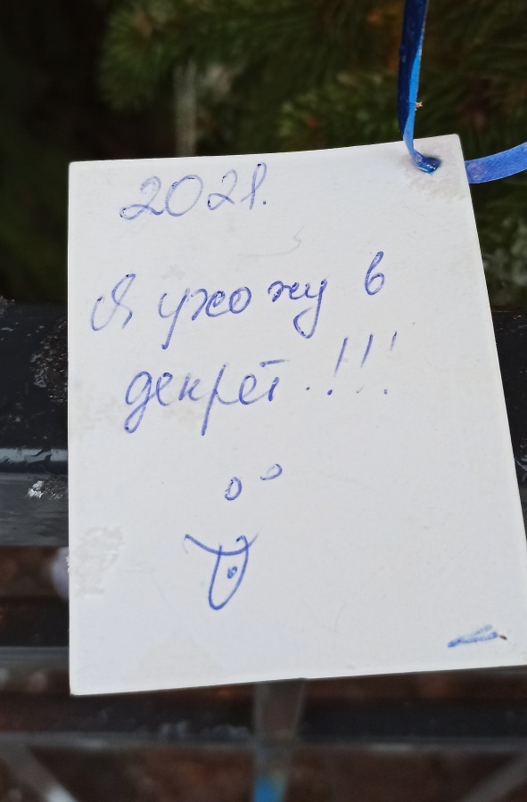Что просили на Новый год у Деда Мороза взрослые