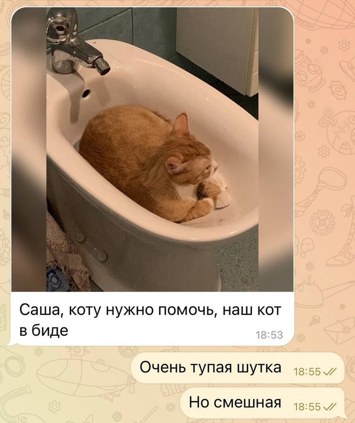 10+ смешных переписок с людьми, которые обладают отличным чувством юмора