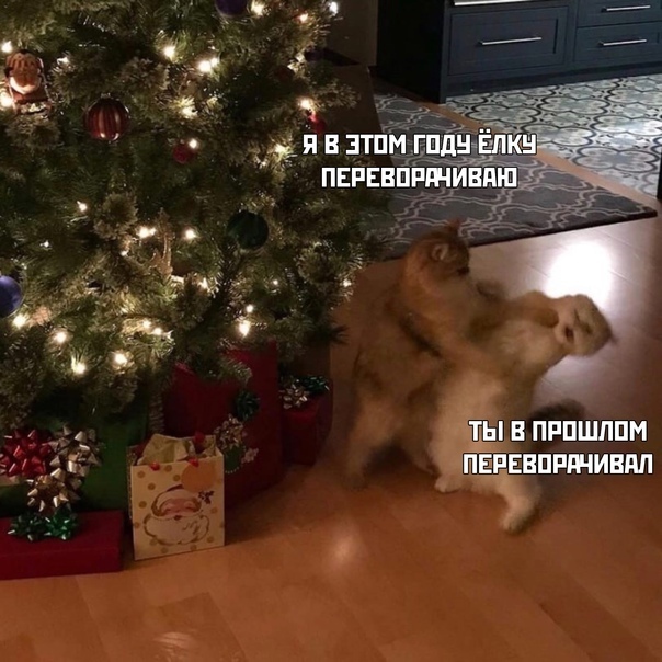 10+ шуток про наступающие праздники, которые сделают ваш конец года