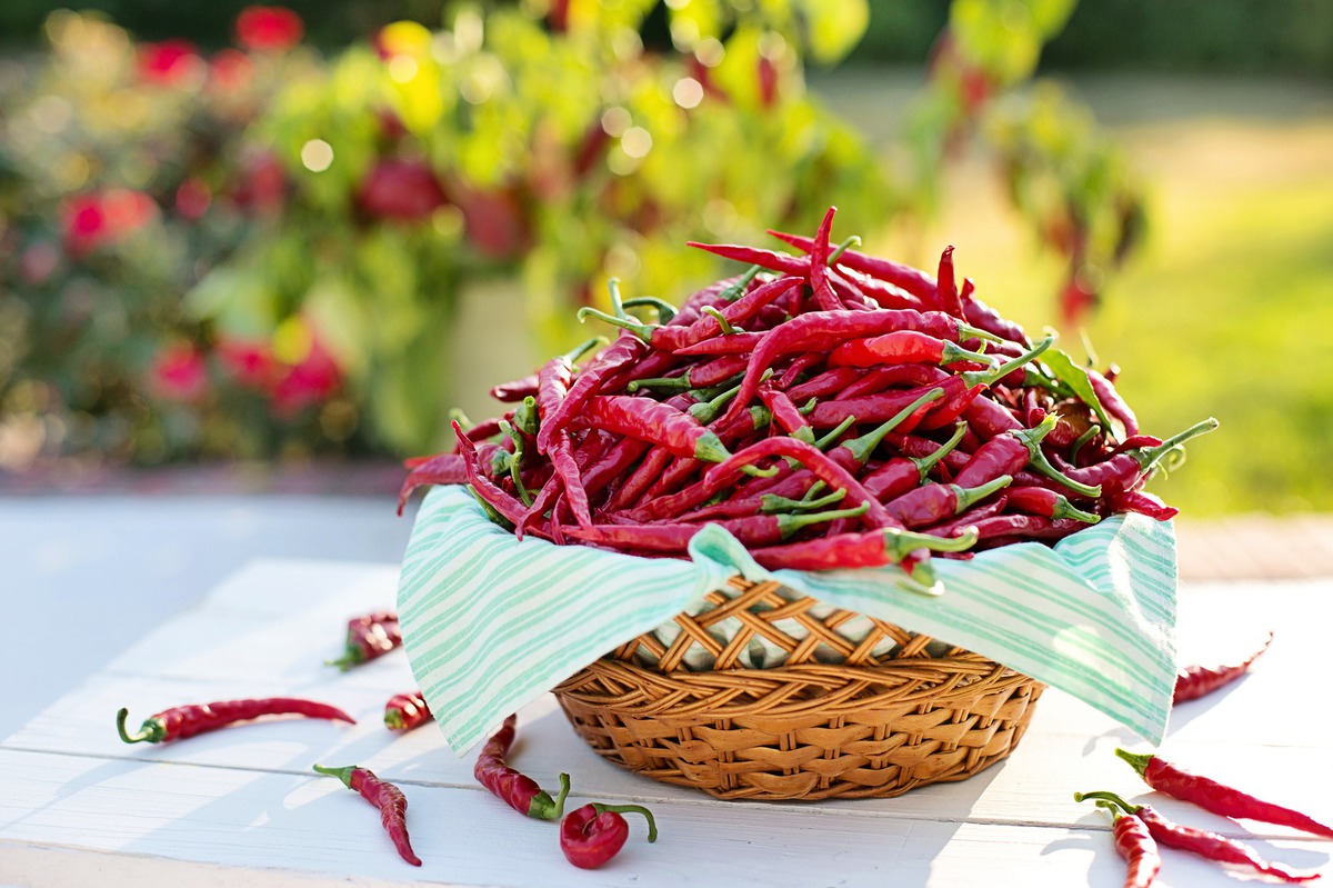 Пять продуктов, которые помогают ускорить метаболизм и сбросить вес