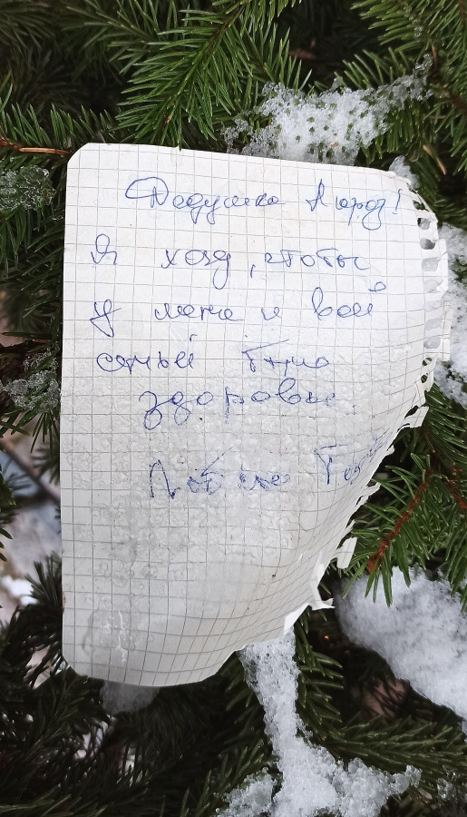 Что просили на Новый год у Деда Мороза взрослые