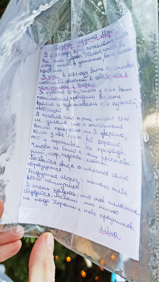 Что просили на Новый год у Деда Мороза взрослые