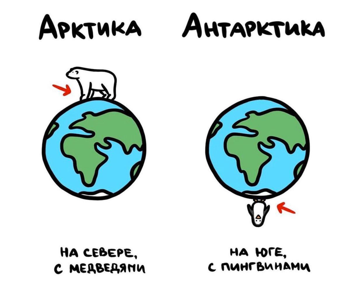 А вот чем Арктика отличается от Антарктики А вот чем Арктика отличается от Антарктики