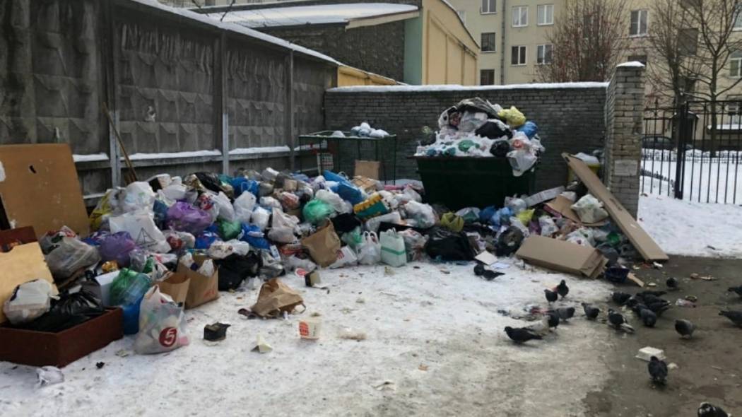 «Напоминает средневековье»: что не так с вывозом мусора в Санкт-Петербурге